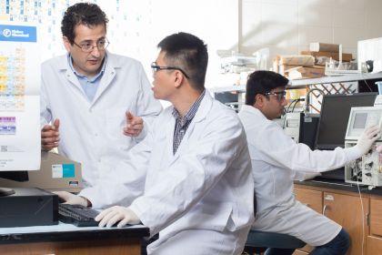 Professor Mamoun M. Alhamadsheh